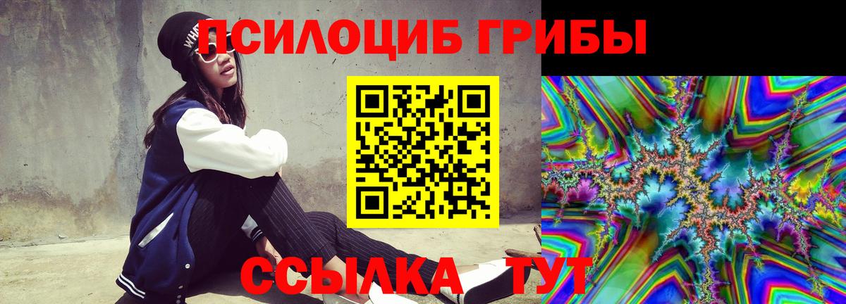 Абакан  Галлюциногенные грибы Psilocybine cubensis  Вход с VPN 