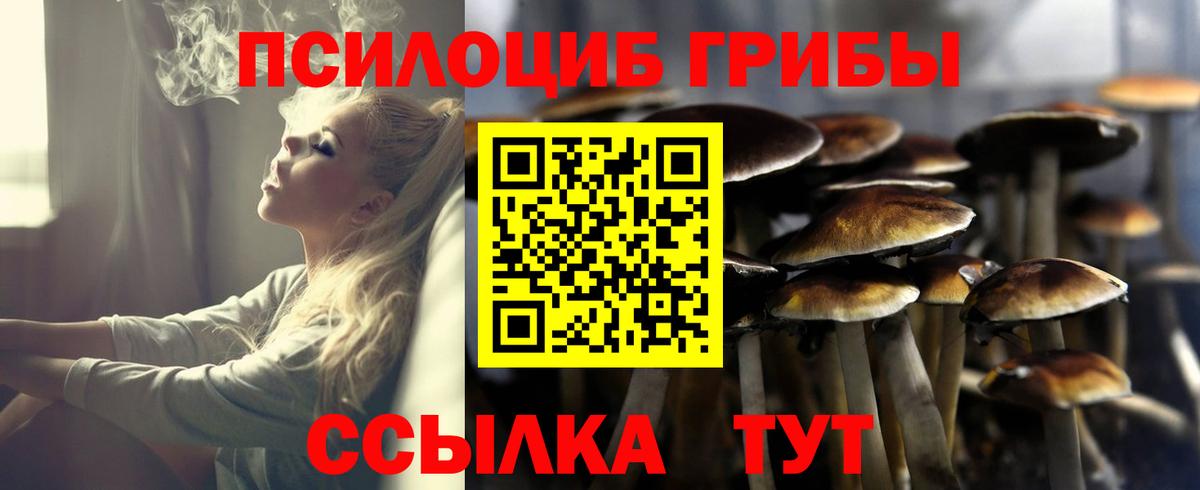 Псилоцибиновые грибы GOLDEN TEACHER Абакан